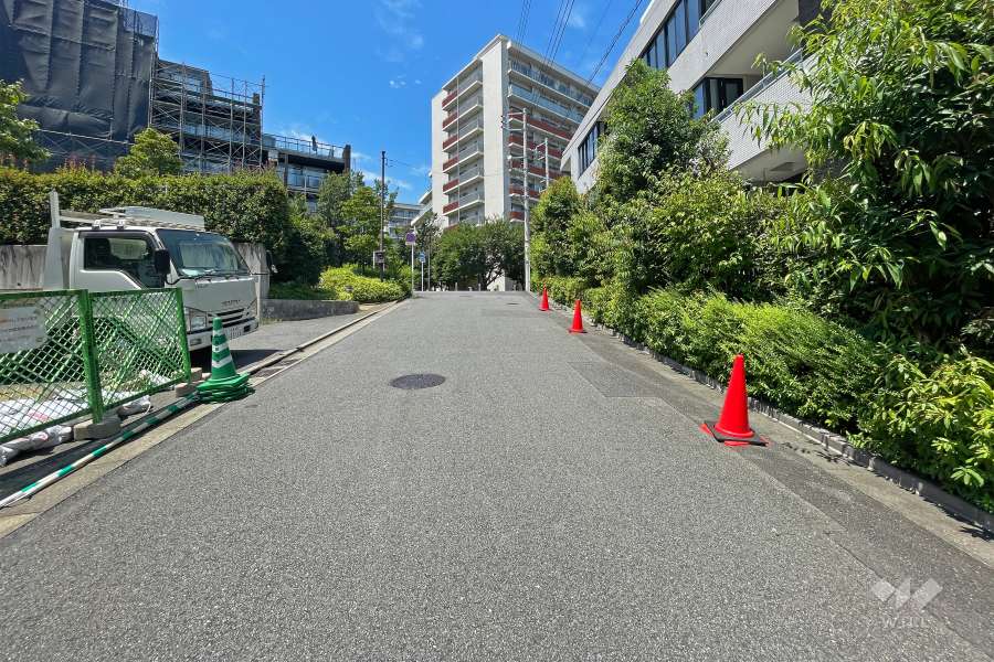 敷地西側の前面道路（南側から）