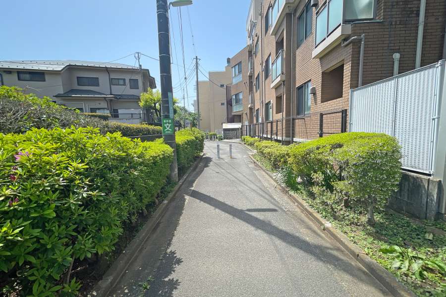 敷地東側の前面道路（北側から）