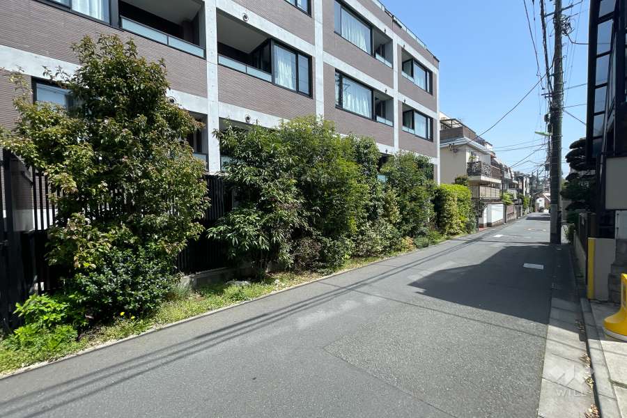 敷地南側の前面道路　