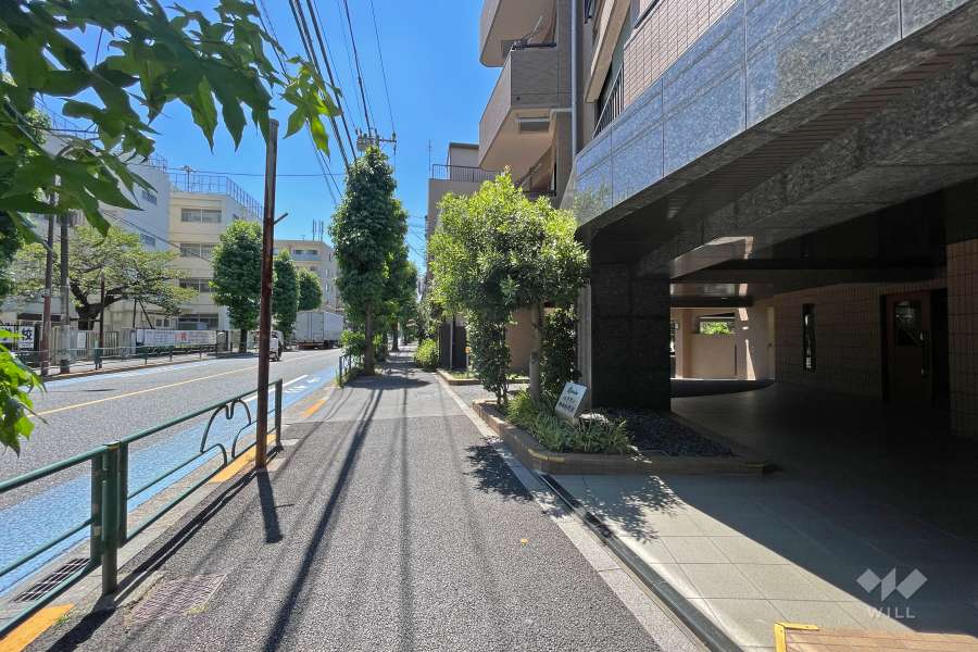 敷地南側の前面道路（東側から）