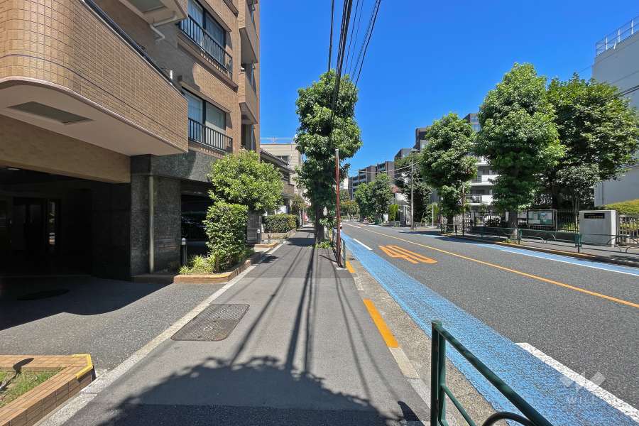 敷地南側の前面道路（西側から）