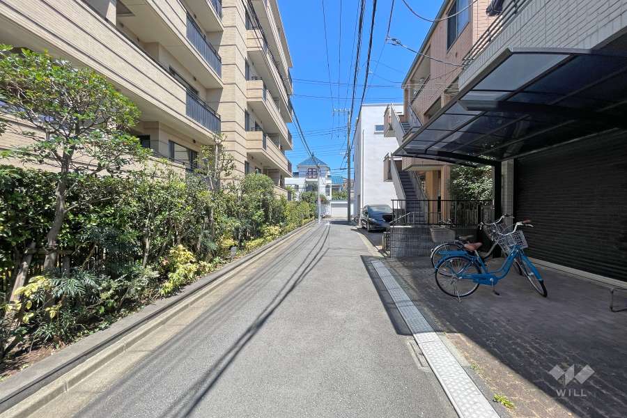 敷地南側の前面道路（西側から）