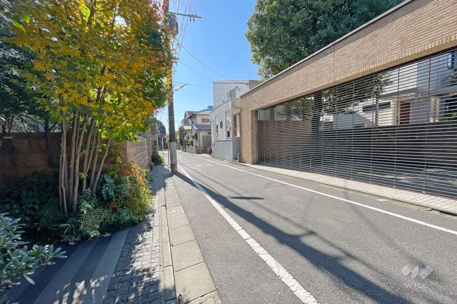 敷地西側の前面道路（北側から）