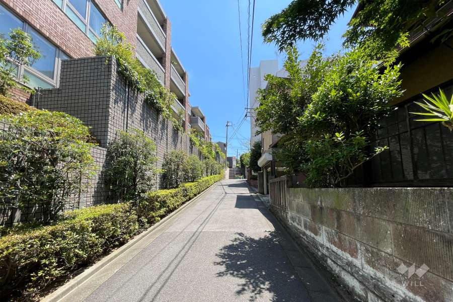敷地の南側前面道路（西側から）
