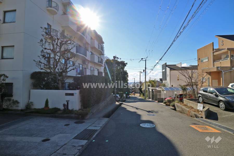 敷地西側の前面道路（北側から）