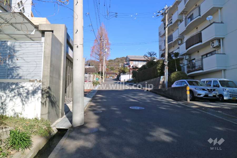 敷地西側の前面道路（南側から）