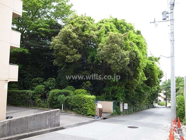敷地南側には景観樹林保護地区に指定された越木岩神社があります。