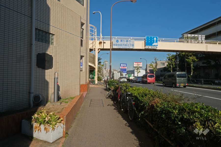 敷地西側の前面道路（南側から）