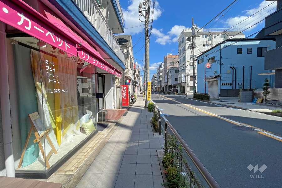 敷地南側の前面道路（西側から）