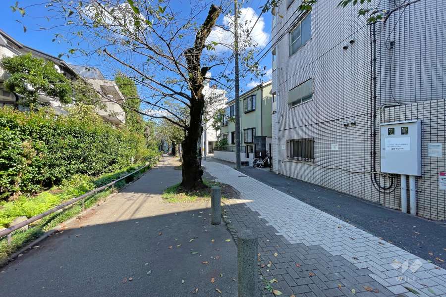 敷地北側の前面道路（西側から）