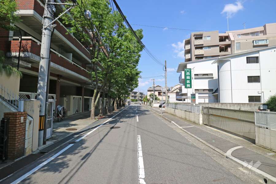 敷地南側の前面道路