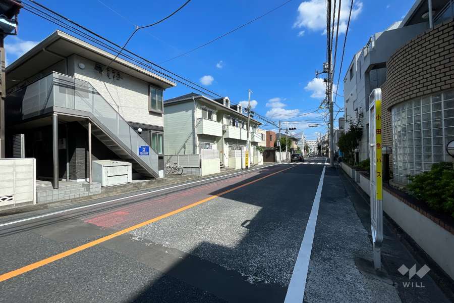 敷地の北側前面道路（西側から）