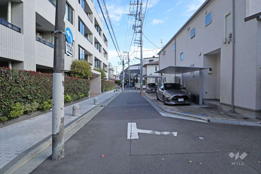 敷地南側の前面道路(西側から)