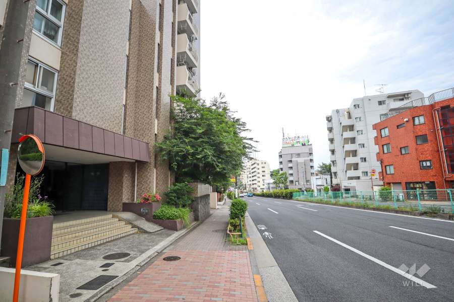 敷地西側の前面道路　