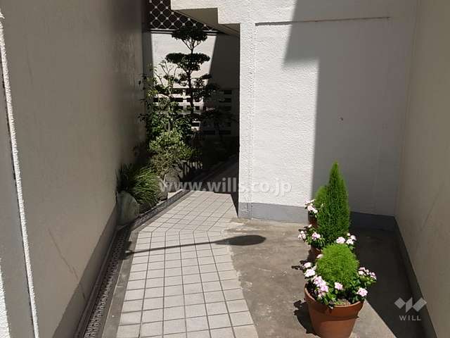 敷地内の通路