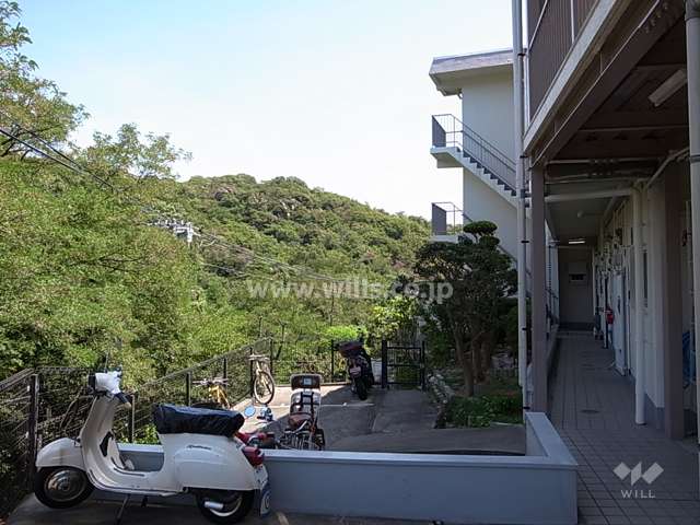敷地の北側には山林が広がっています。