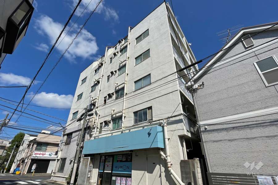 代田砦ハイムの外観（南西側から）