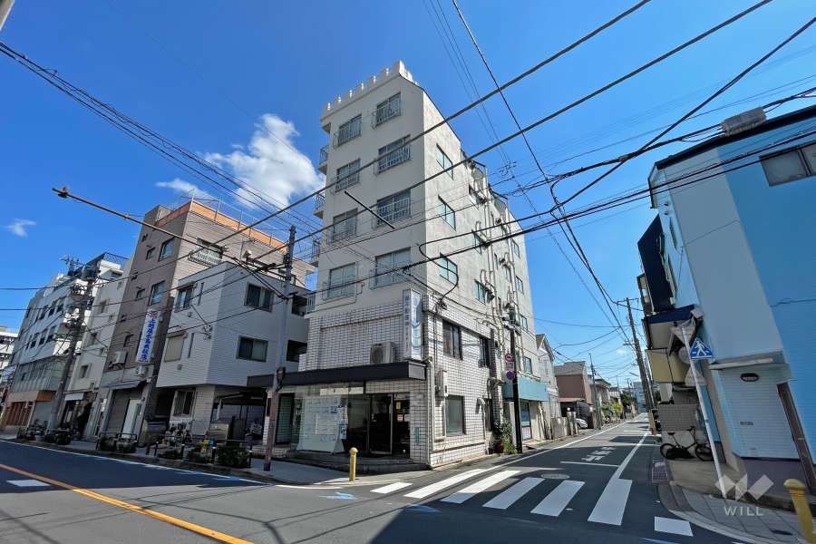 代田砦ハイムの外観（北側から）