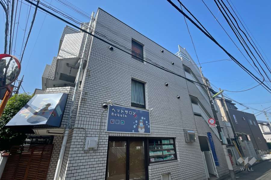 メゾン・ド・サペンの外観（北東側から）