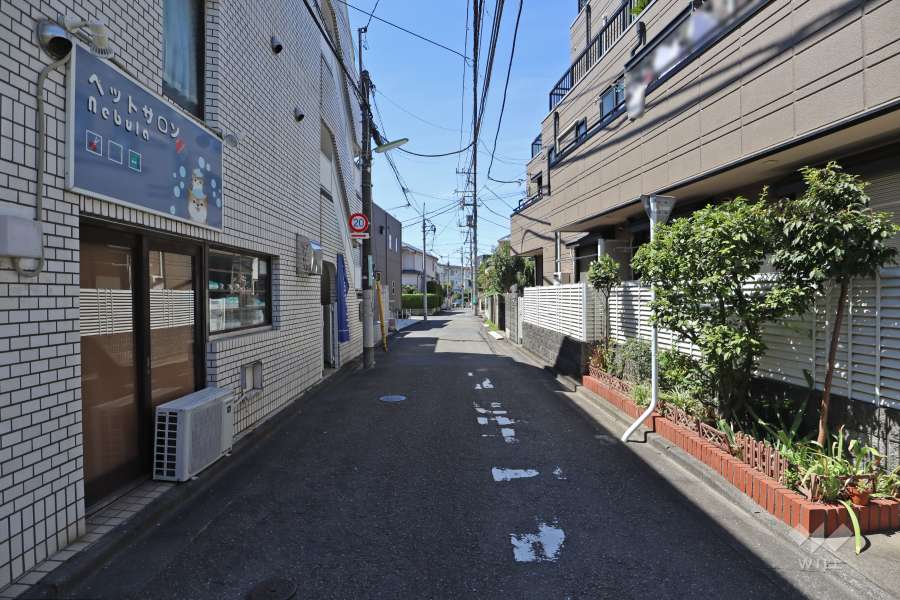 敷地北側の前面道路（東側から）