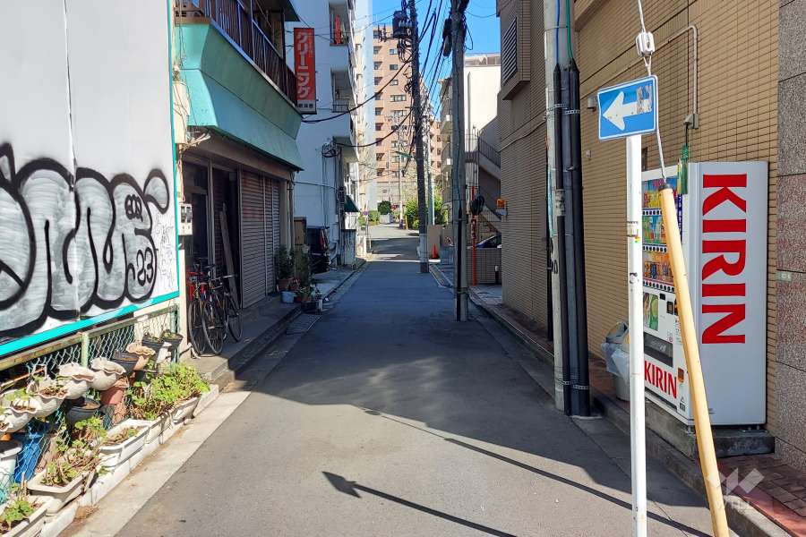 敷地北側の前面道路(西側から)