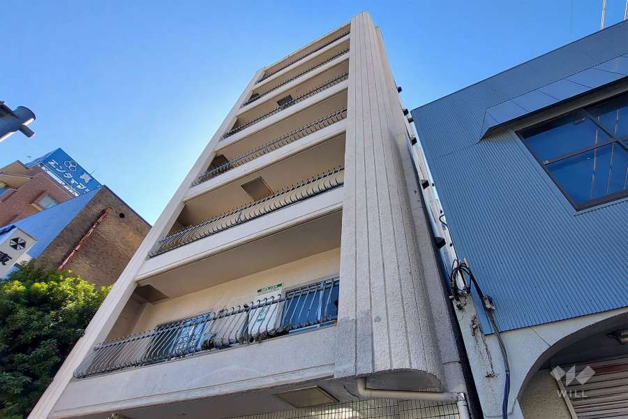 代田橋ハイムの外観(東側から)