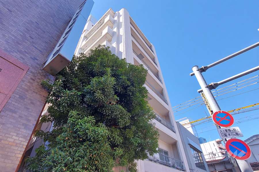 代田橋ハイムの外観(南東側から)