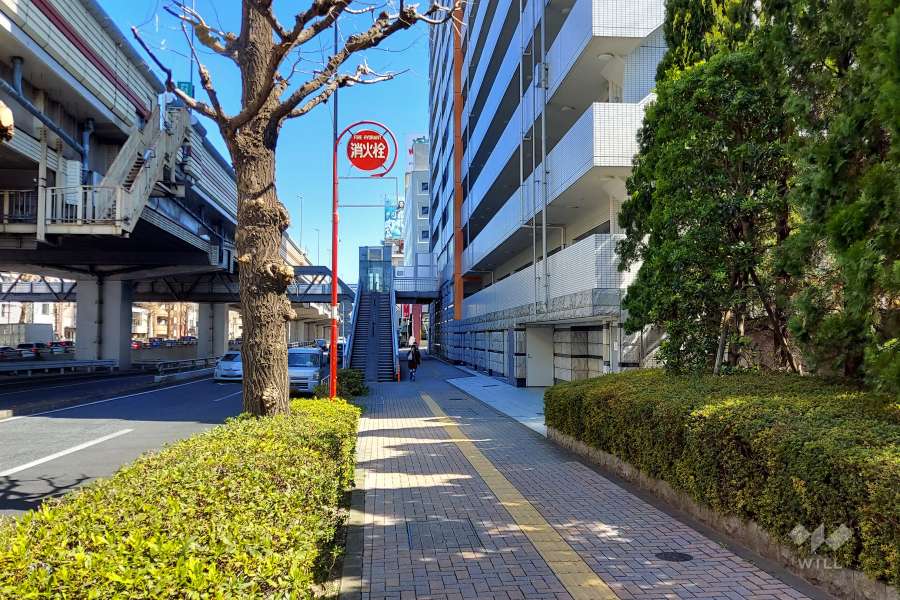 敷地北側の前面道路(西側から)