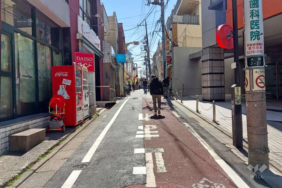 敷地東側の前面道路(北側から)