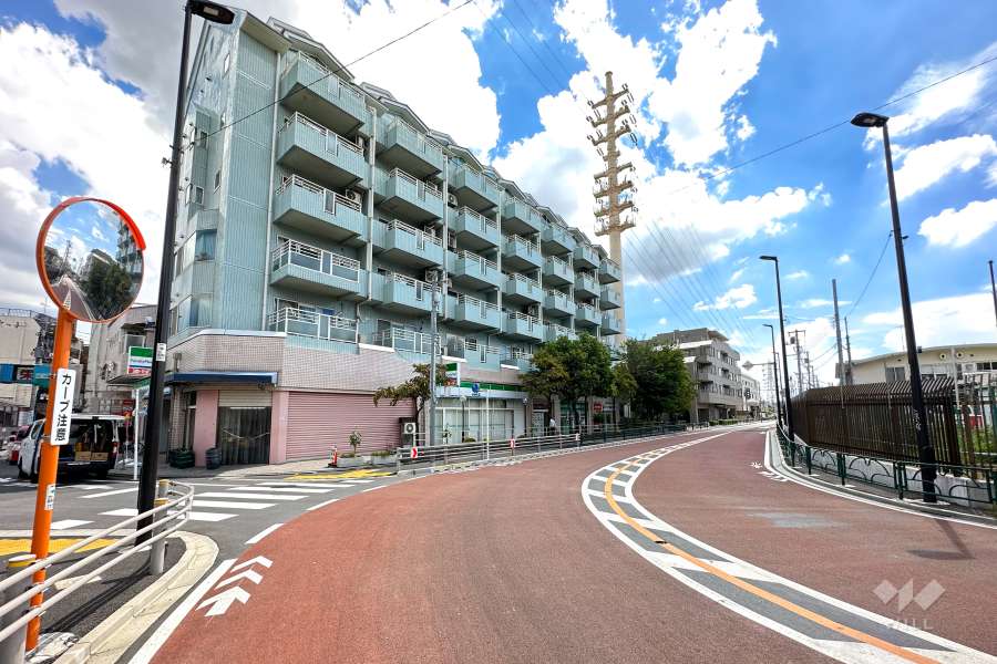 敷地西側の前面道路（北側から）