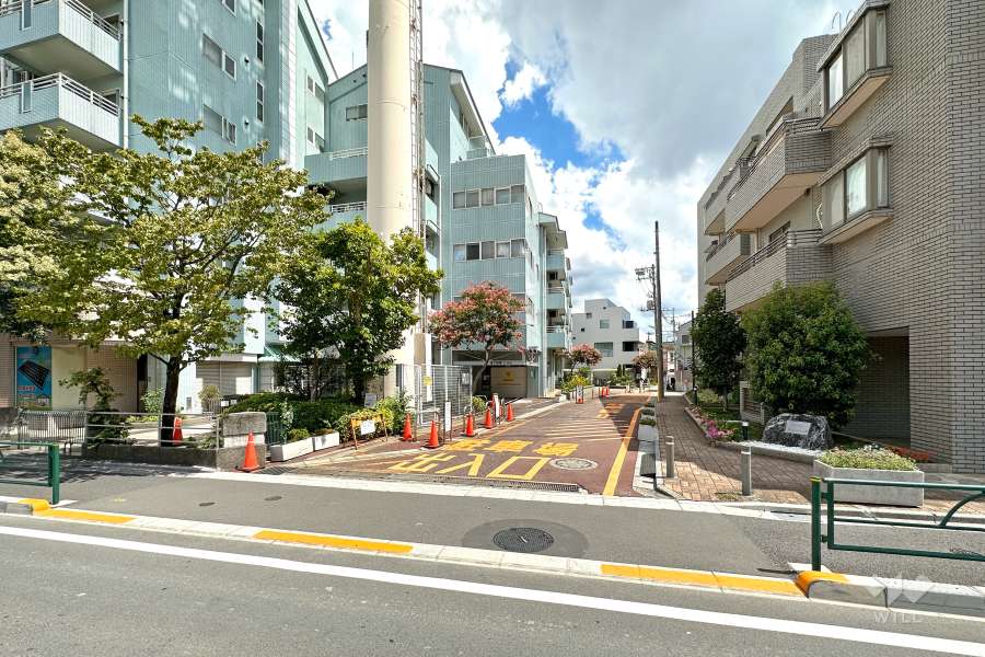 敷地南側の前面道路（西側から）