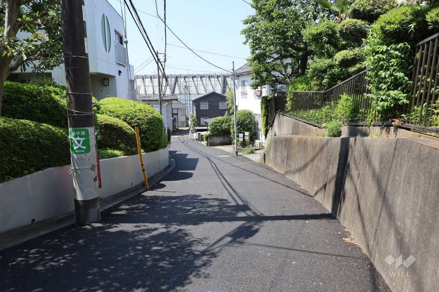敷地西側の前面道路（北側から）