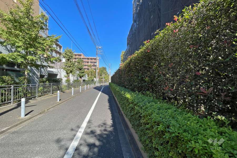 敷地西側の前面道路（南側から）