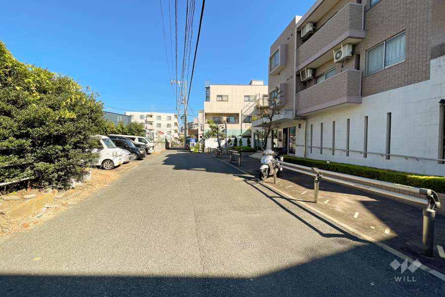 敷地西側の前面道路（南側から）