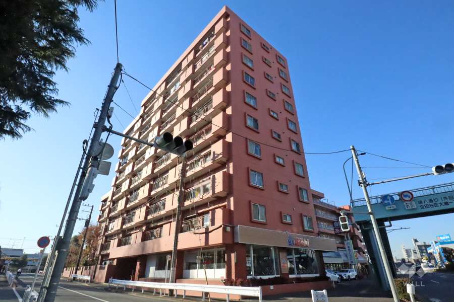 砧公園ヒミコマンションの外観(南東側から)