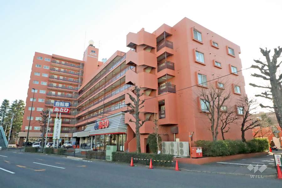 砧公園ヒミコマンションの外観(北東側から)