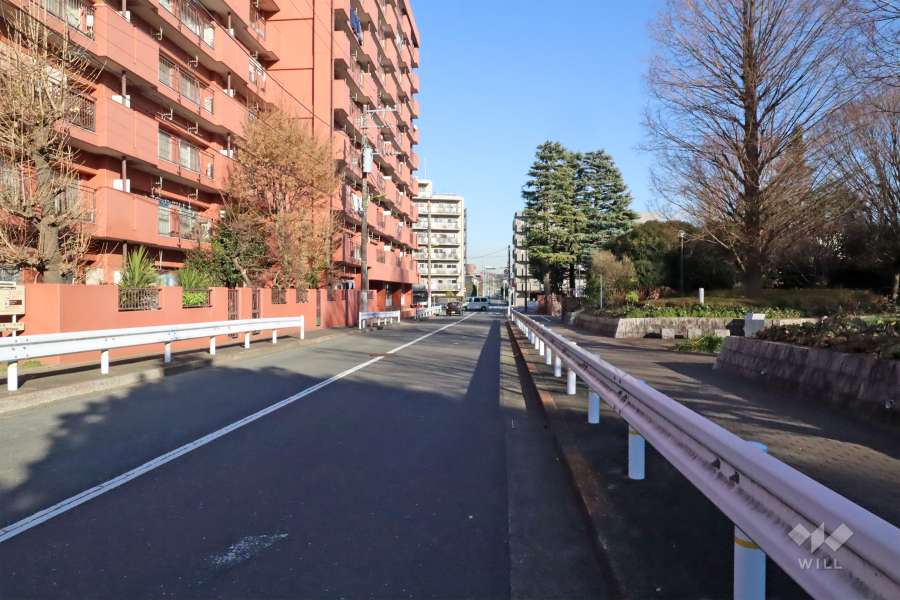 敷地南側の前面道路(西側から)