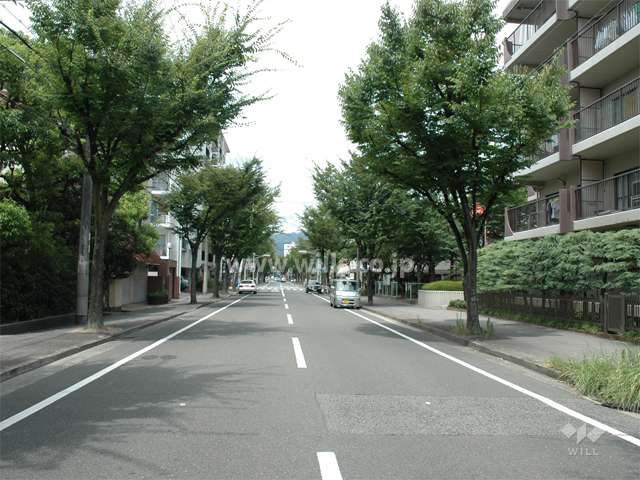 敷地南側の通り。街路樹がきれいです。