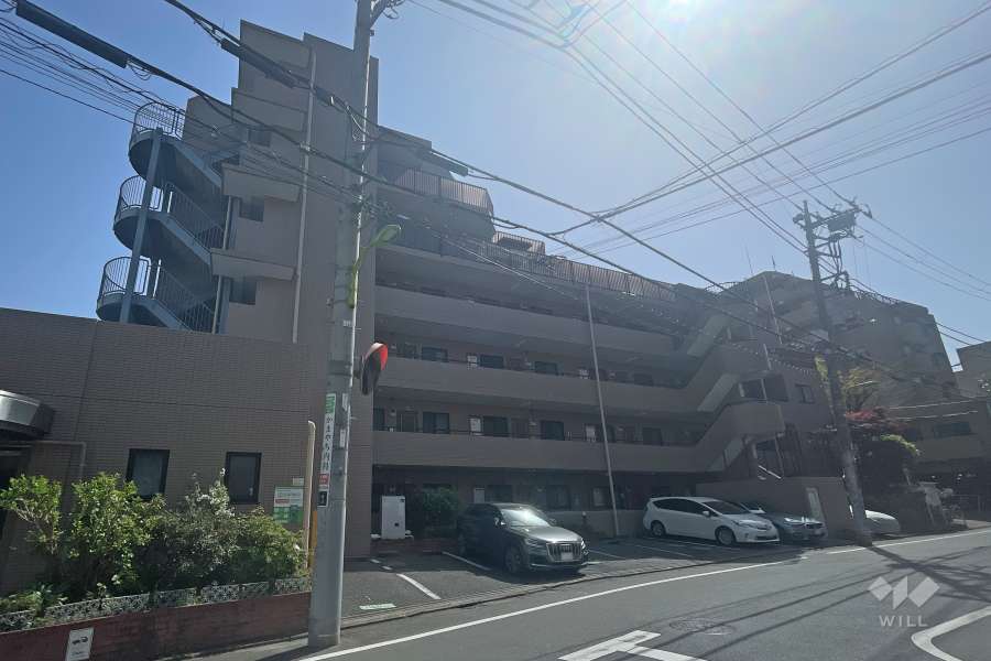 サンパレス池尻の外観（北東側から）