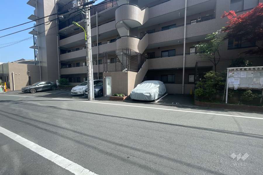 敷地北側の前面道路