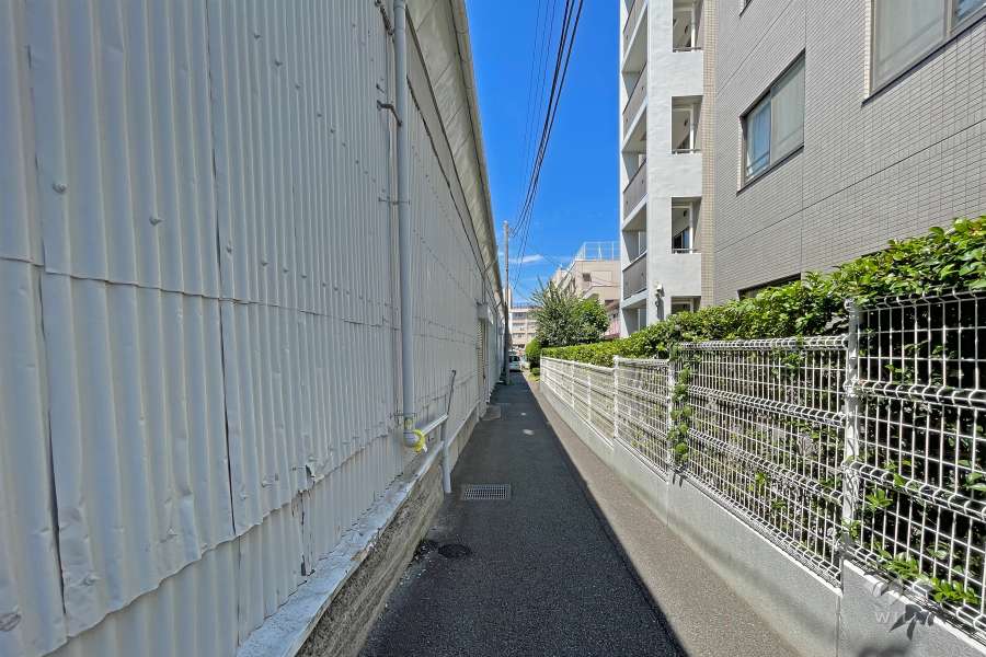 敷地の南側前面道路（東側から）