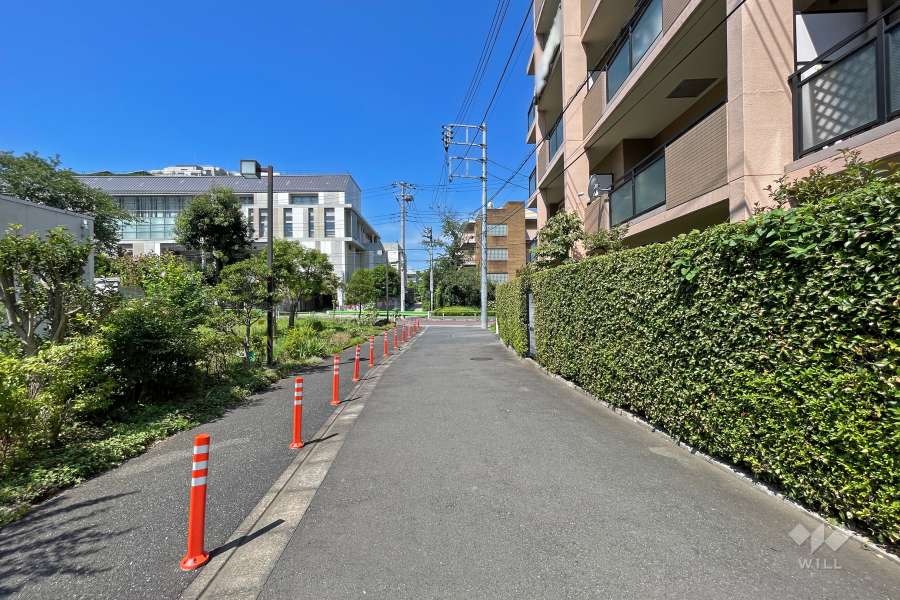 敷地南側の前面道路（東側から）