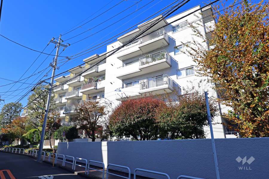 マンションニュー池尻の外観（南東側から）