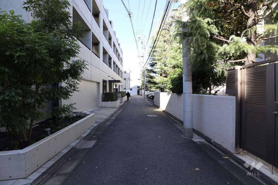 敷地西側の道路（北側から）