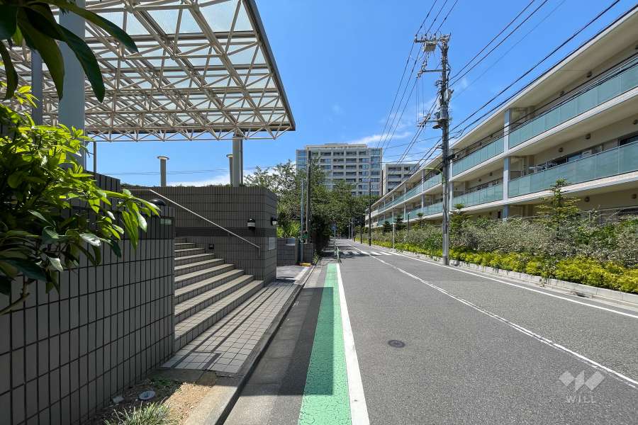 敷地北側の前面道路（東側から）