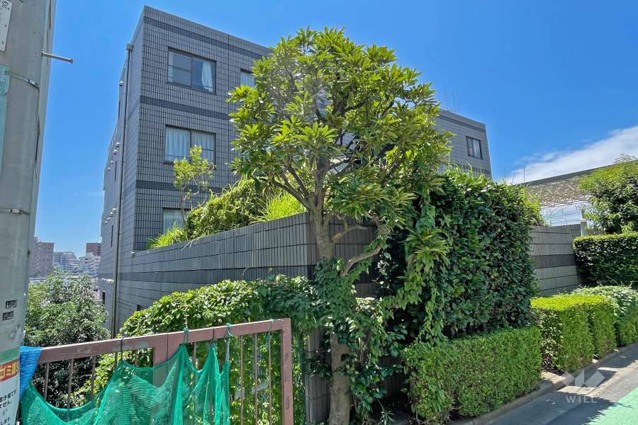 グランドメゾン池尻の外観（北東側から）