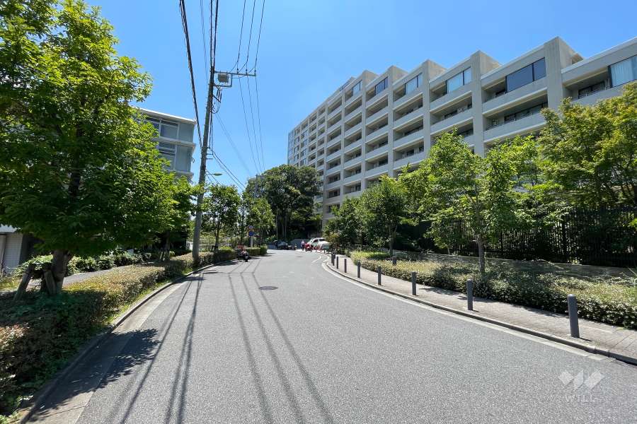 敷地の東側前面道路（北側から）