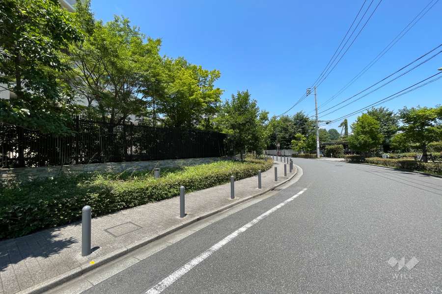 敷地の東側前面道路（南側から）