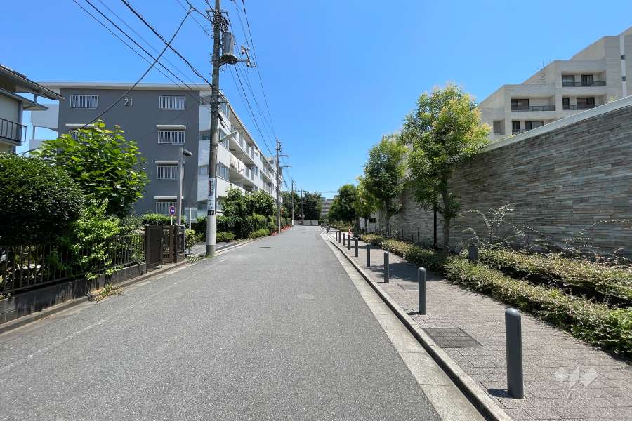 敷地の北側前面道路（西側から）