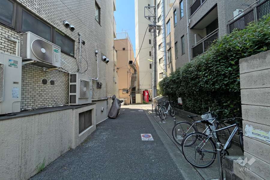 敷地西側の前面道路（北側から）